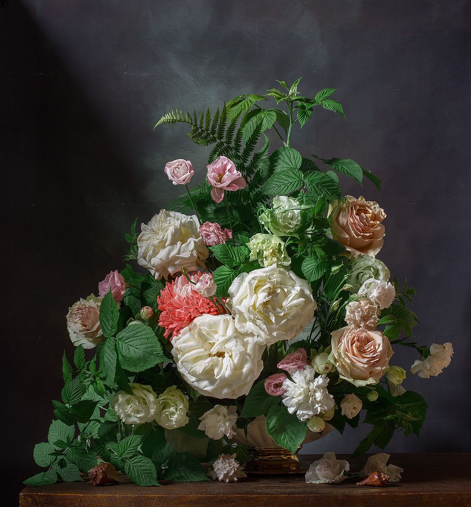 Фотография автора Алина Ланкина