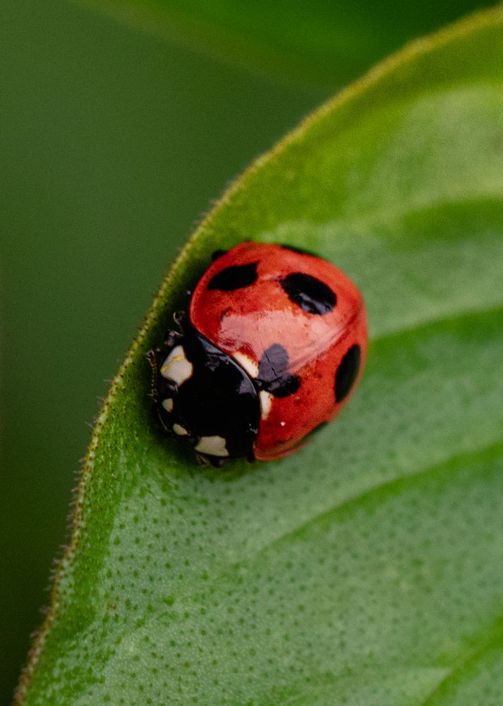 Photograph by Arnab Sarkar