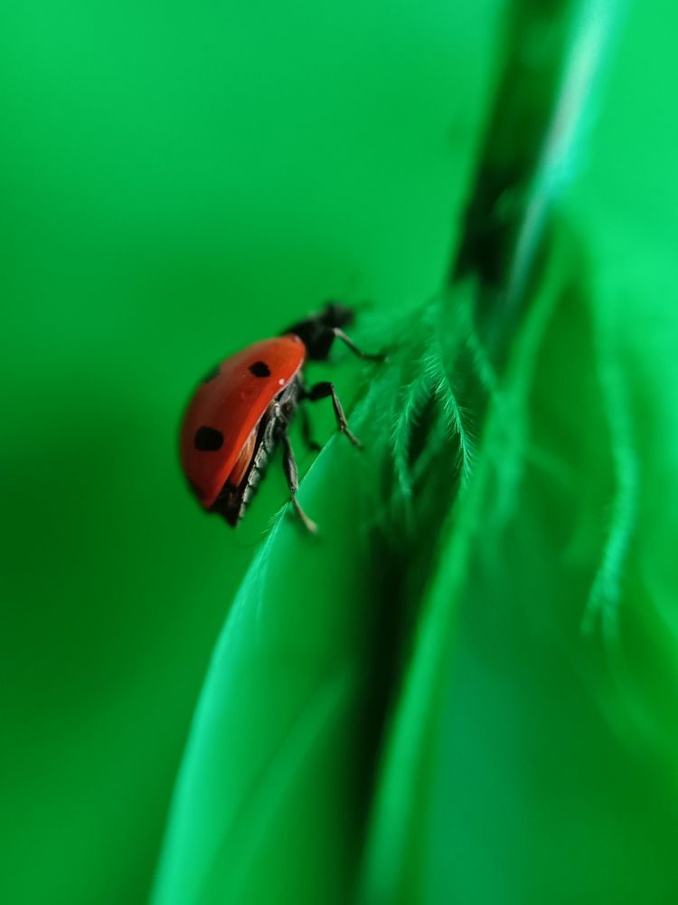 Photograph by Наталья Шумилова