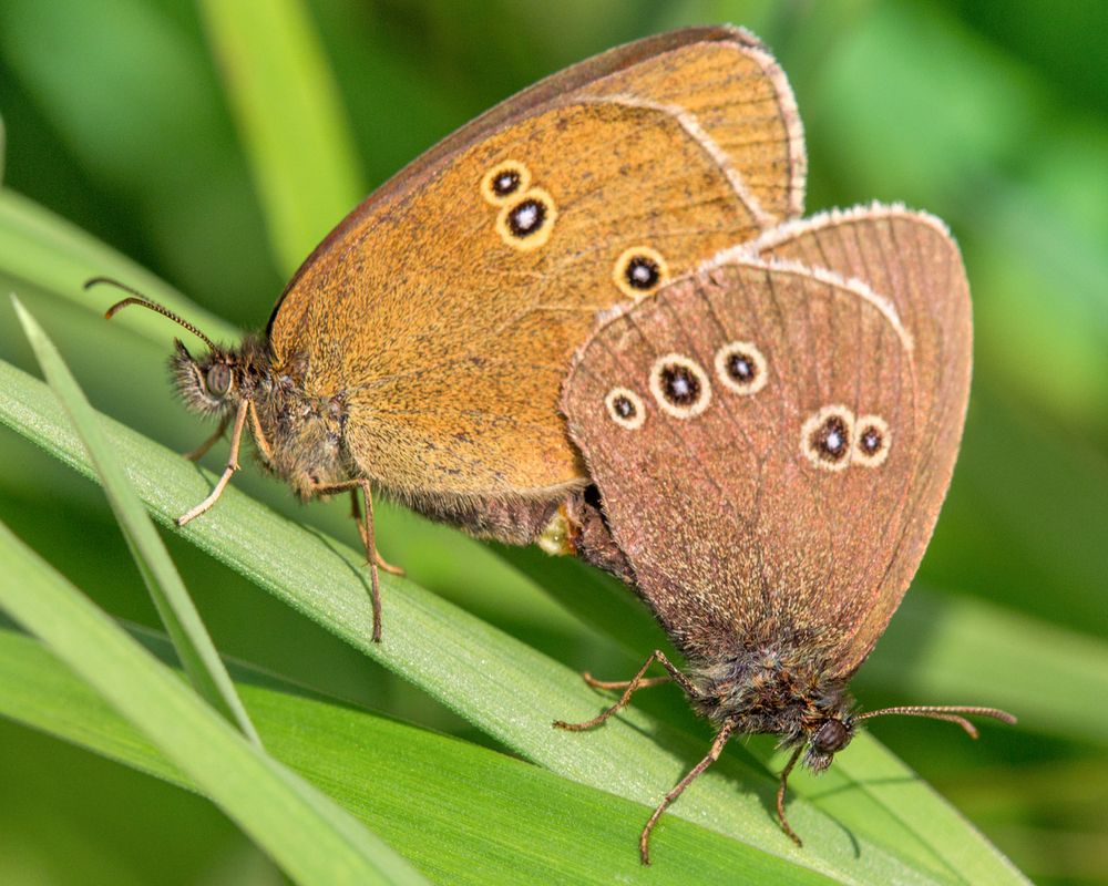 Photograph by Сергей Алексеев