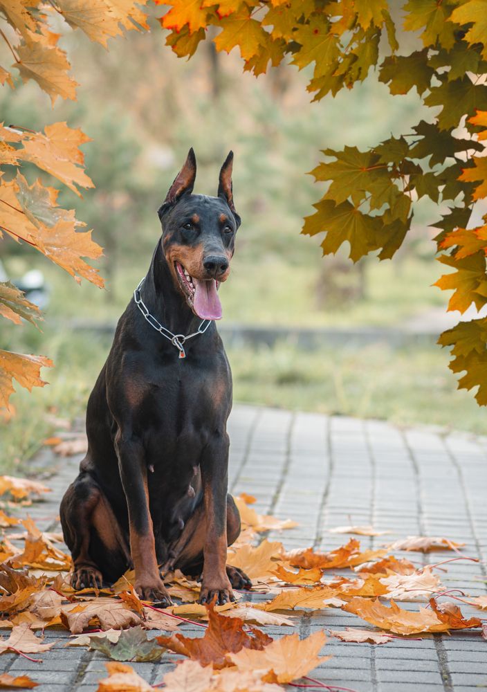 Photograph by Екатерина Лебедева