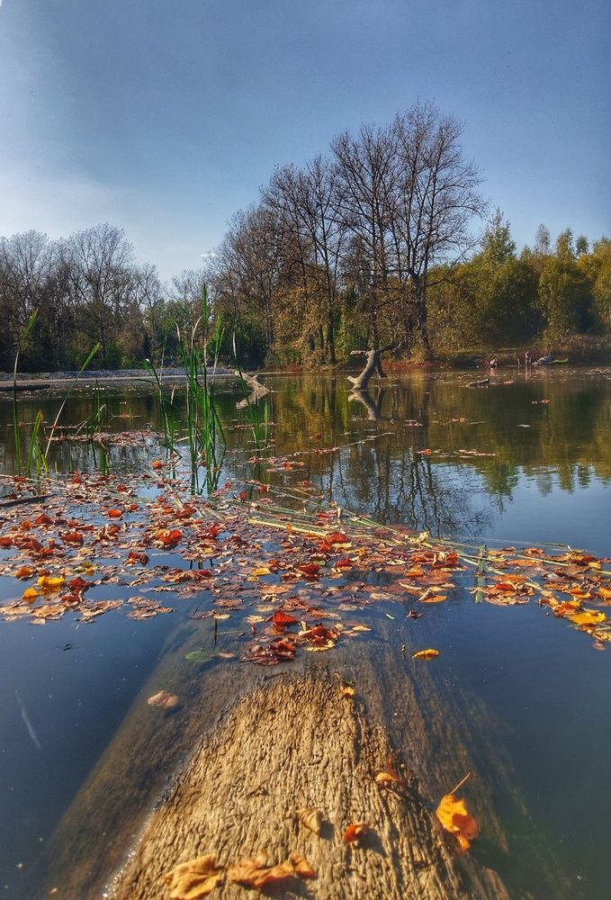 Photograph by Николь Николь