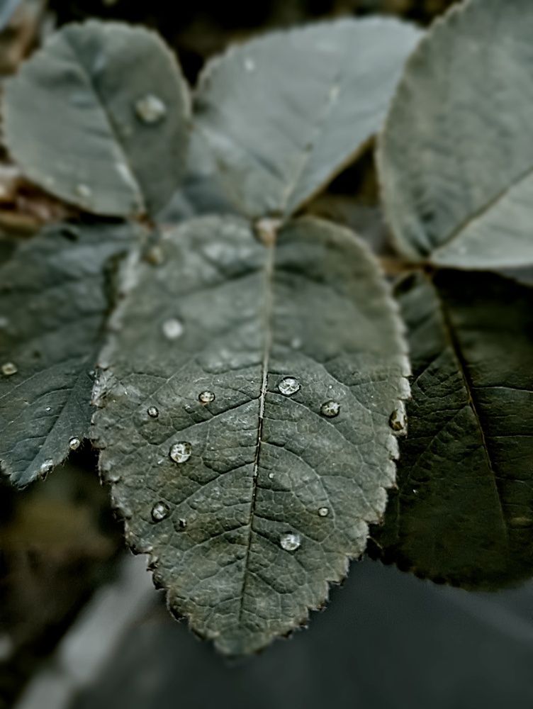 Photograph by Николь Николь