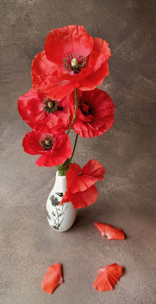 Photograph by Наталья Шумилова