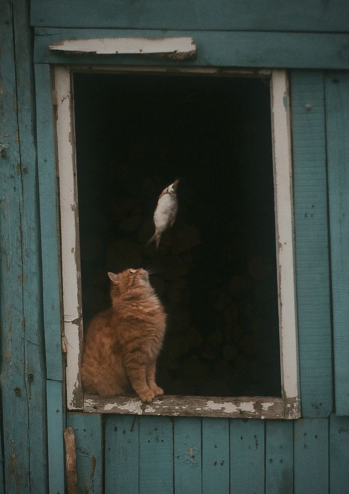 Photograph by Татьяна Полоцкая