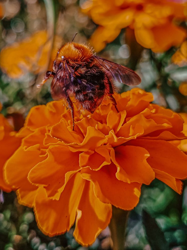 Фотография автора Любовь