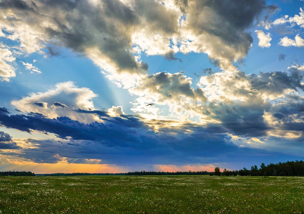 Перед грозой