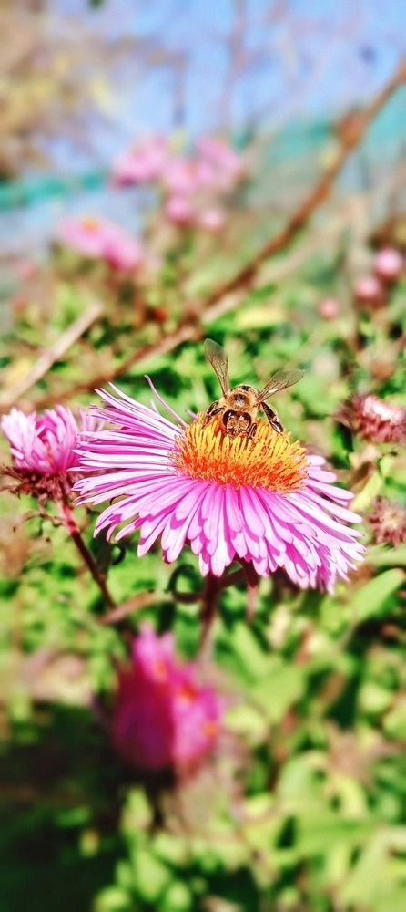 Photograph by Николь Николь