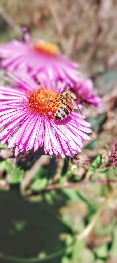 Photograph by Николь Николь