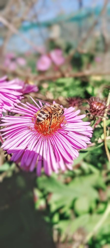 Photograph by Николь Николь