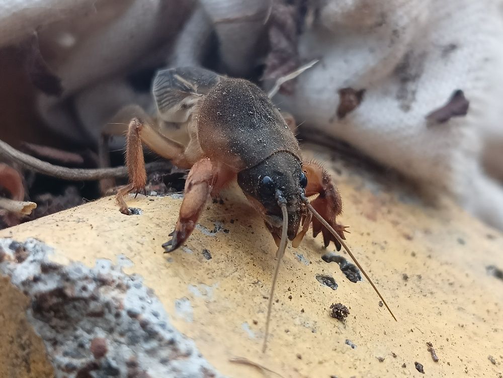 Photograph by Света Раннева