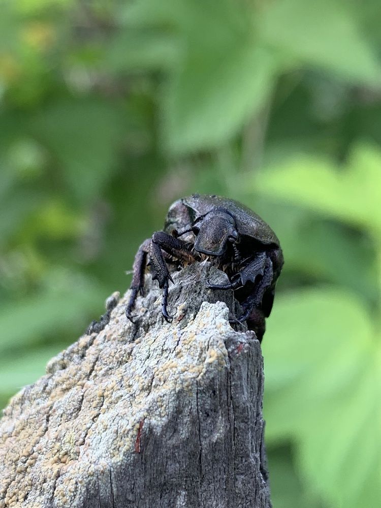 Photograph by Света Раннева