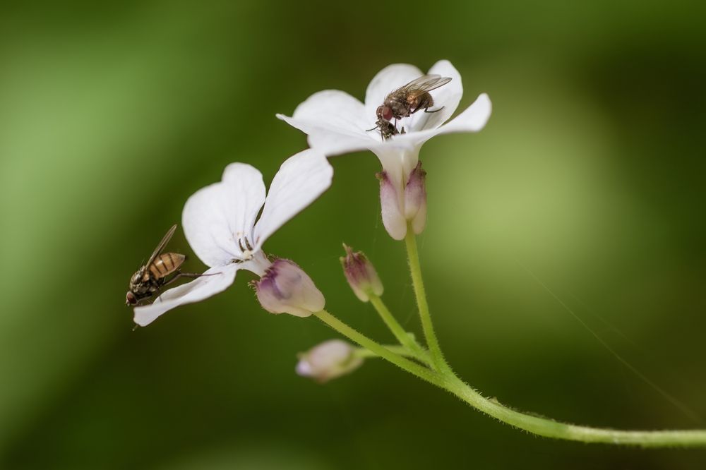 Photograph by Jana Špániková