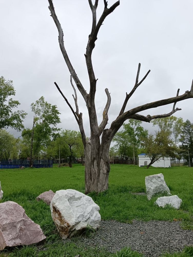 Photograph by Света Раннева