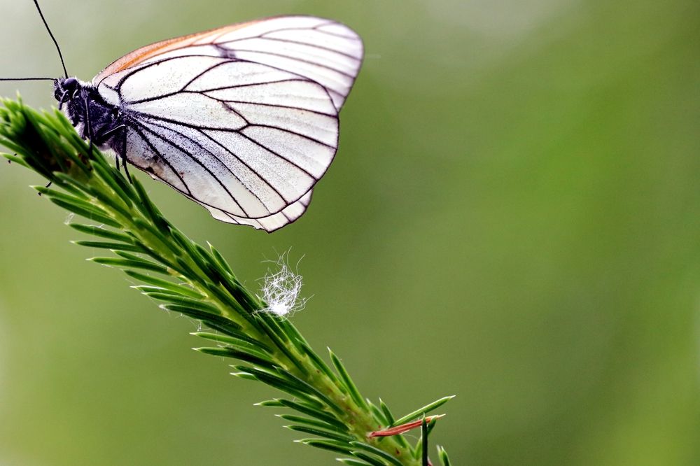 Photograph by Галина Мазур