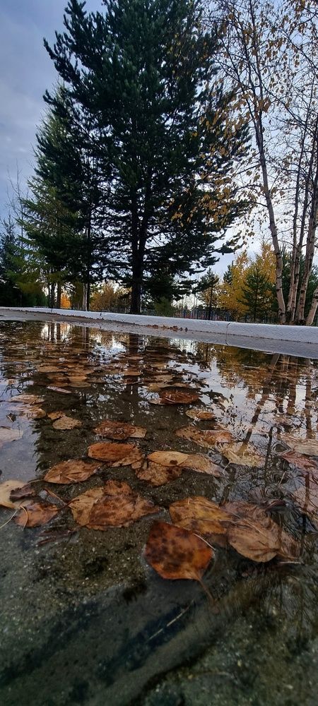 Photograph by Сергей Хитра