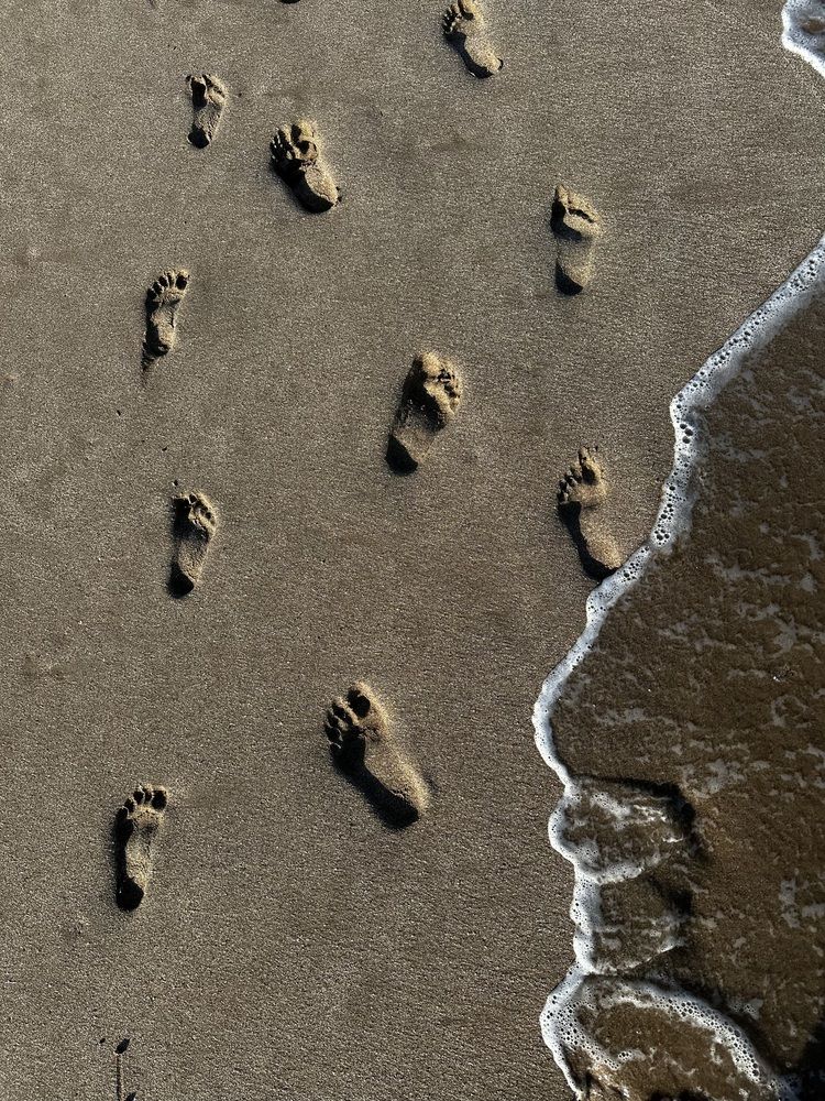 Photograph by Svetlana Rashidova