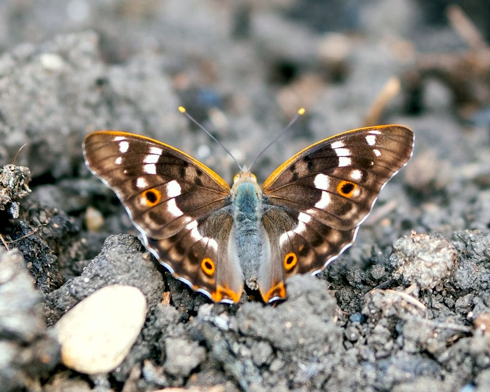 Photograph by Наталья Максимова