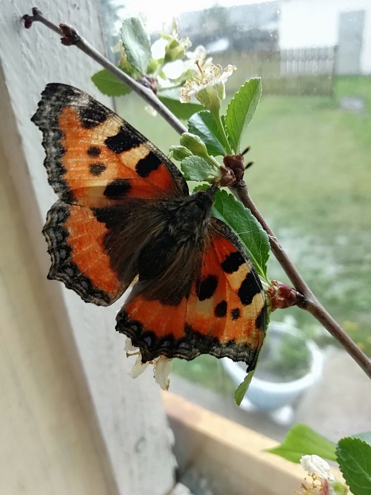 Photograph by Любовь Лунина