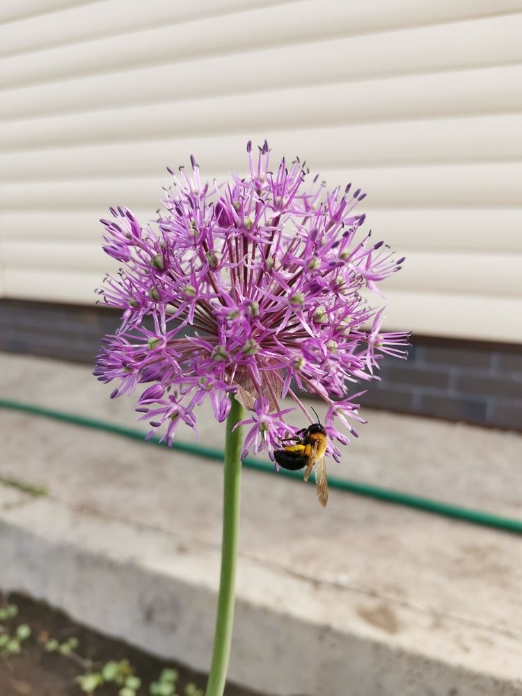 Photograph by Любовь Лунина