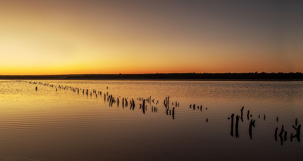 Фотография автора Marina Martorelli