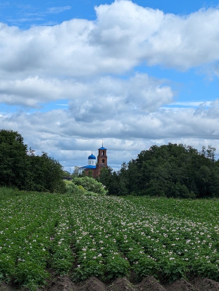 Photograph by Ольга Сафронова