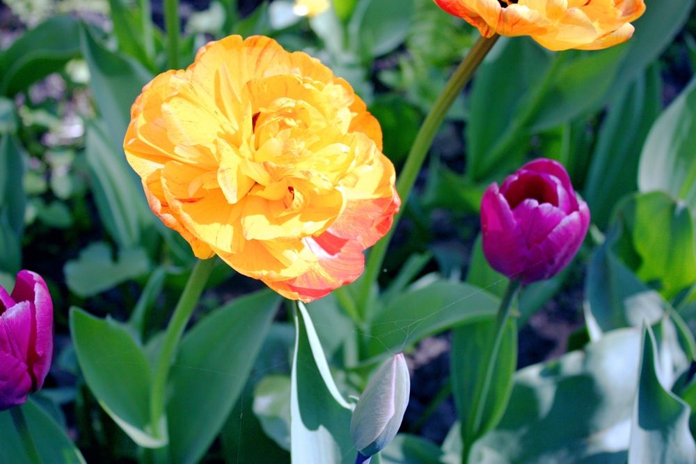 Photograph by Татьяна Кормщикова