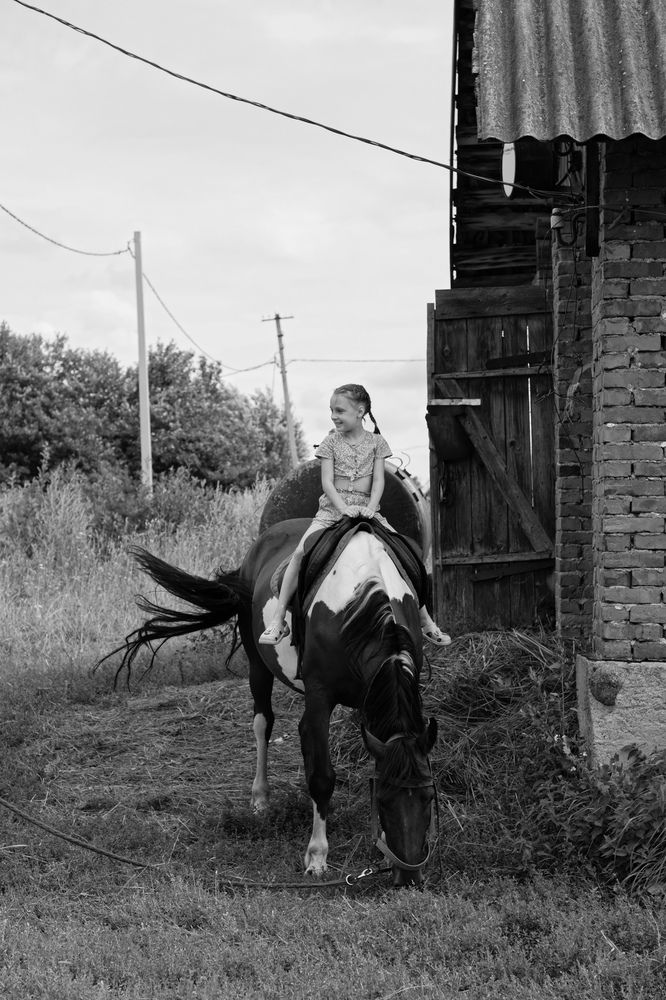 Photo #12047603