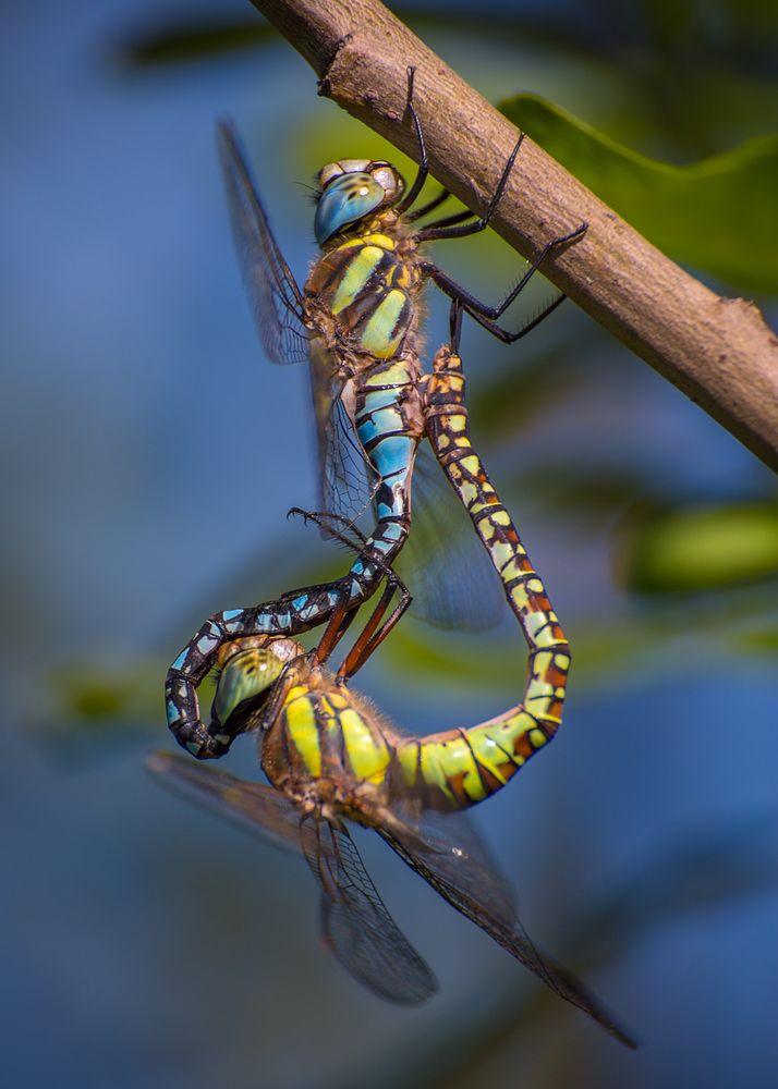 Photograph by Сергей Алексеев