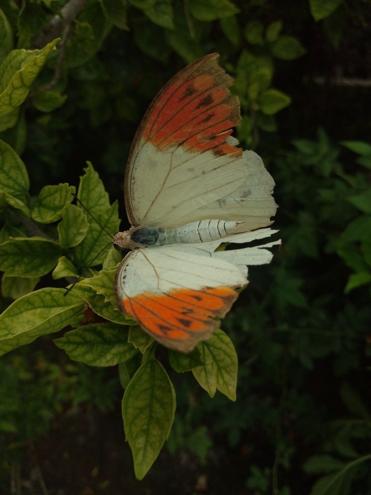 Photo #12047623