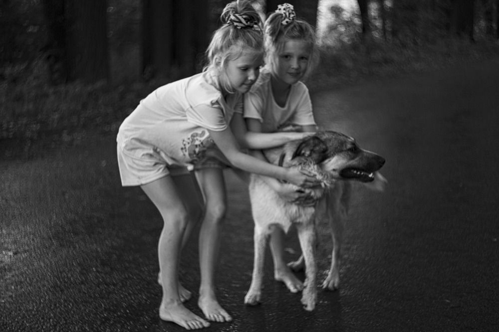 Встреча со старым другом