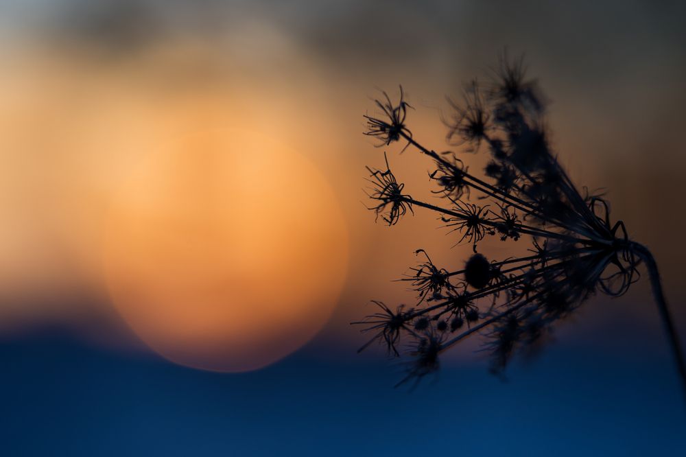 Фотография автора Inga Ivanova