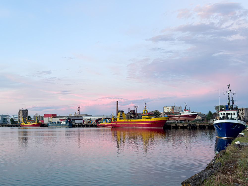 Harbor of Peace
