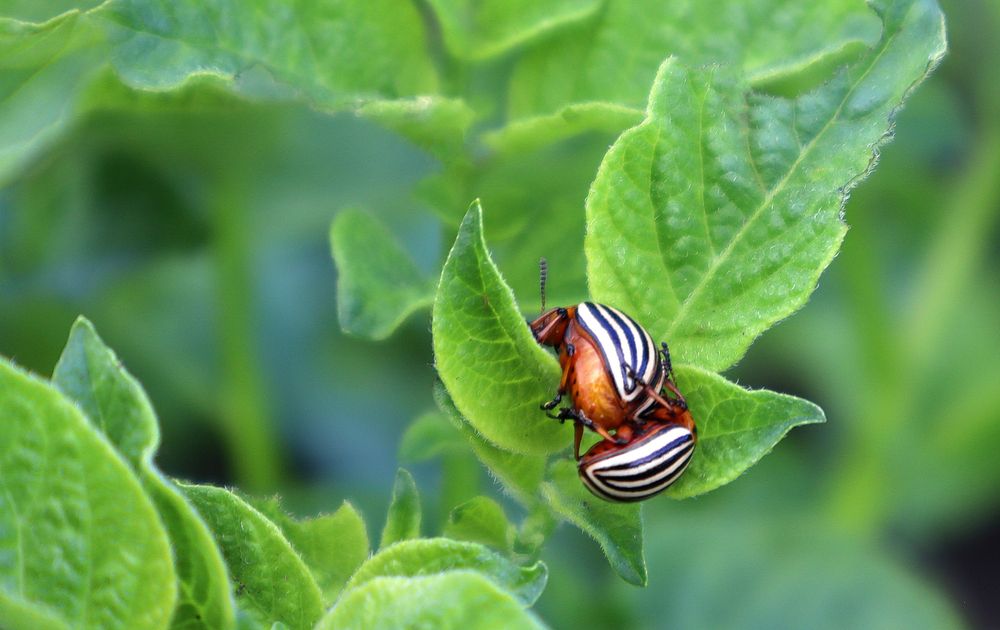 Photograph by Евгения
