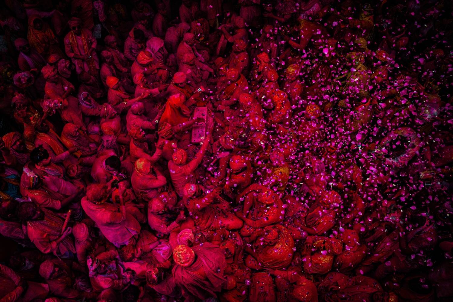 The Joy of Colours