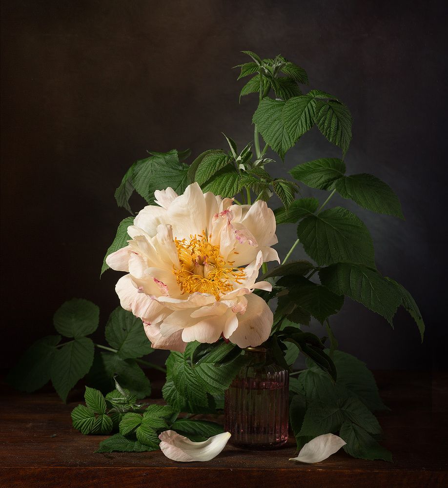 Фотография автора Алина Ланкина