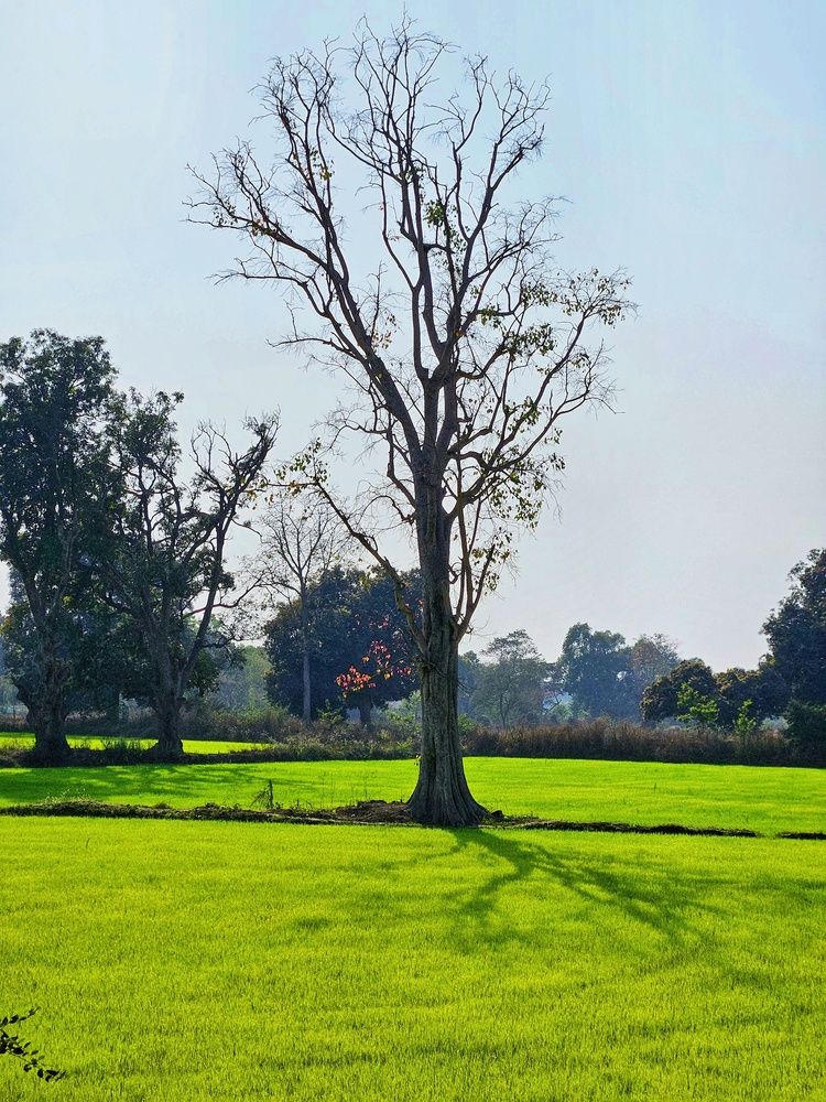 Photograph by Venkatesh Rao