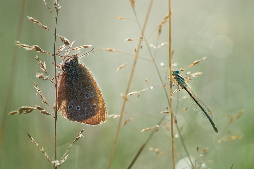 Photograph by Онучина Юлия