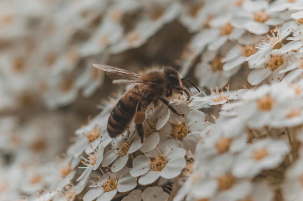 Photograph by Виктория