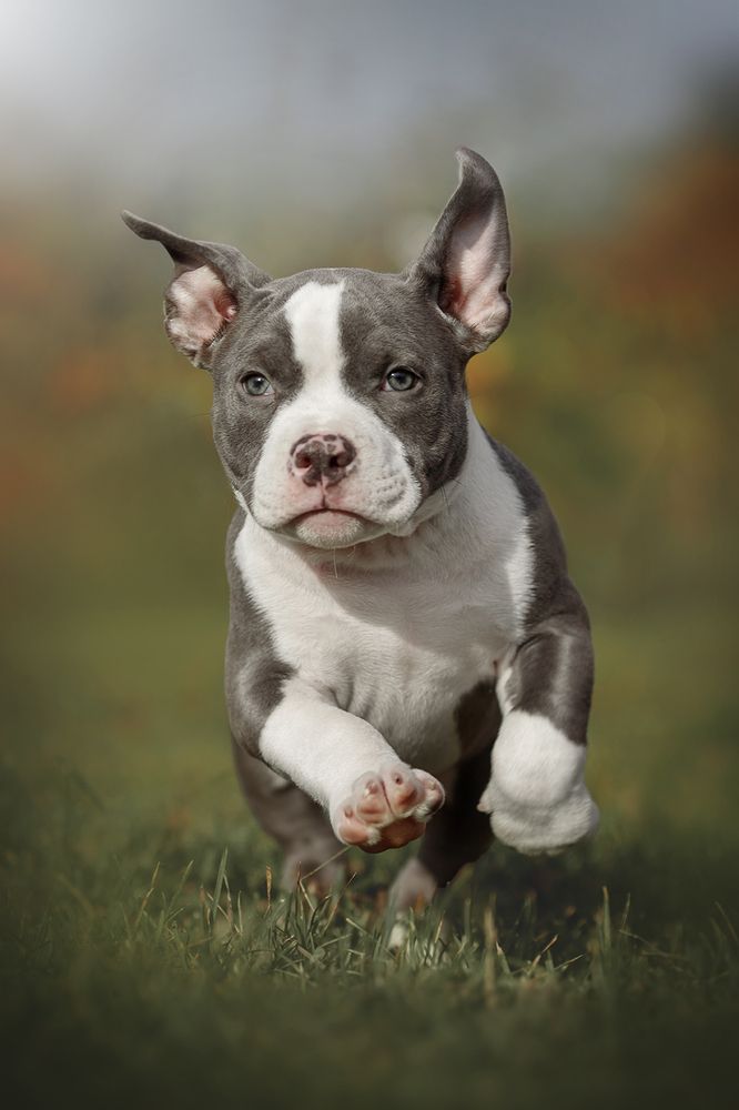 Photograph by Ольга Легенькая