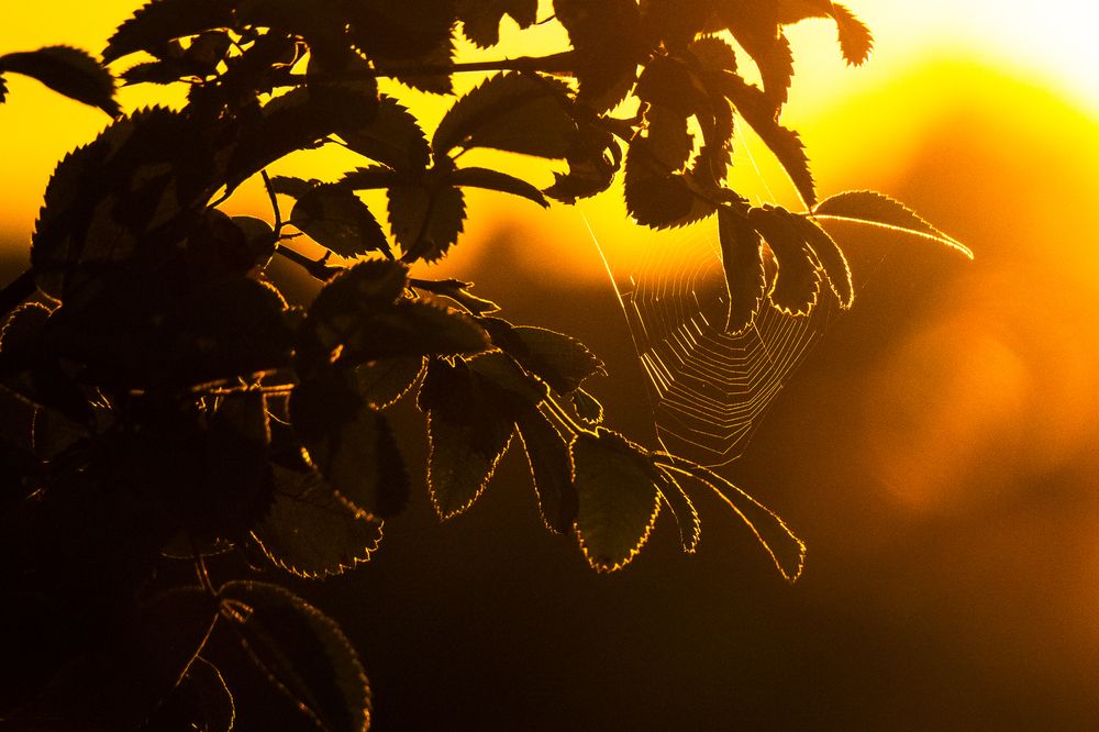 Photograph by Дмитрий Дигилин