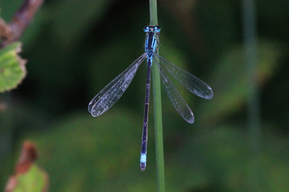 Photograph by Степан Конев