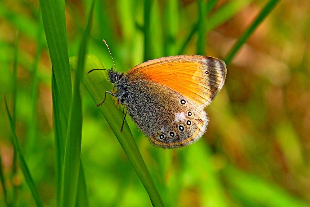 Photograph by Юлия Иванова