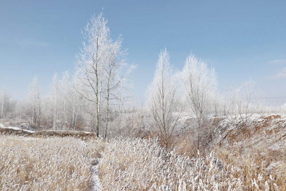 Photograph by Анна Любимова