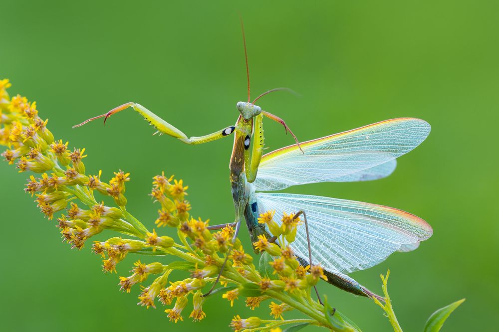 Photograph by Михаил Шмелёв