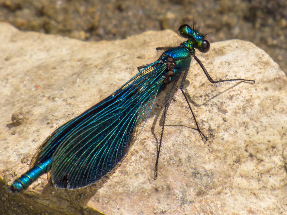 Photograph by Виктор Карпухин