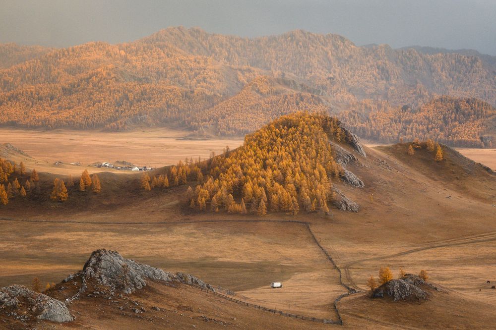 Photograph by Лаптева Юлия