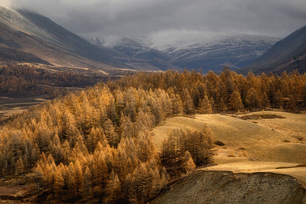 Photograph by Лаптева Юлия