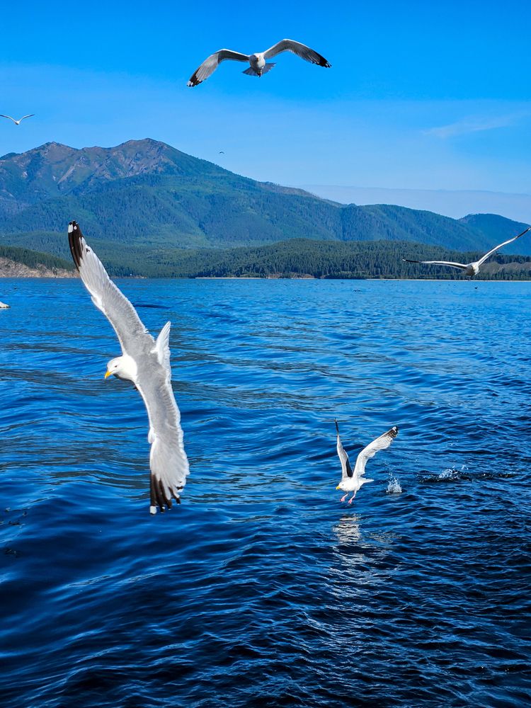 Фотография автора Зиля Раевских