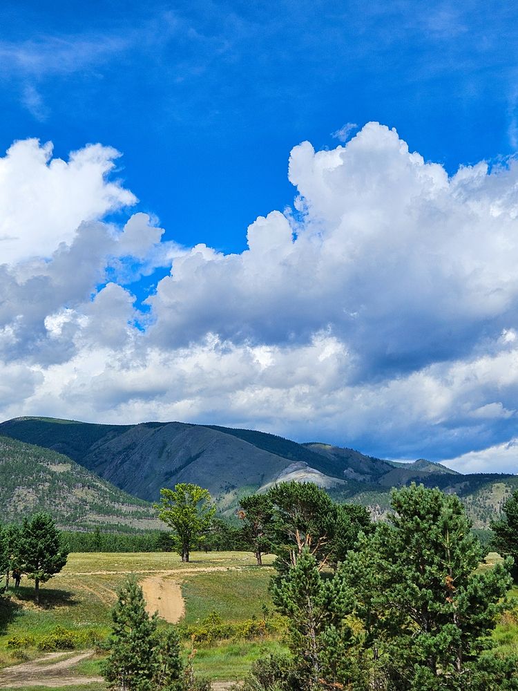 Фотография автора Зиля Раевских